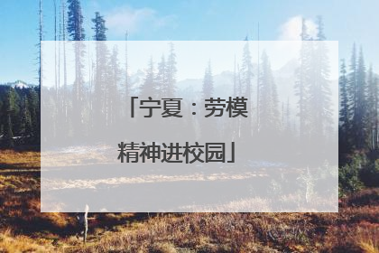 宁夏：劳模精神进校园